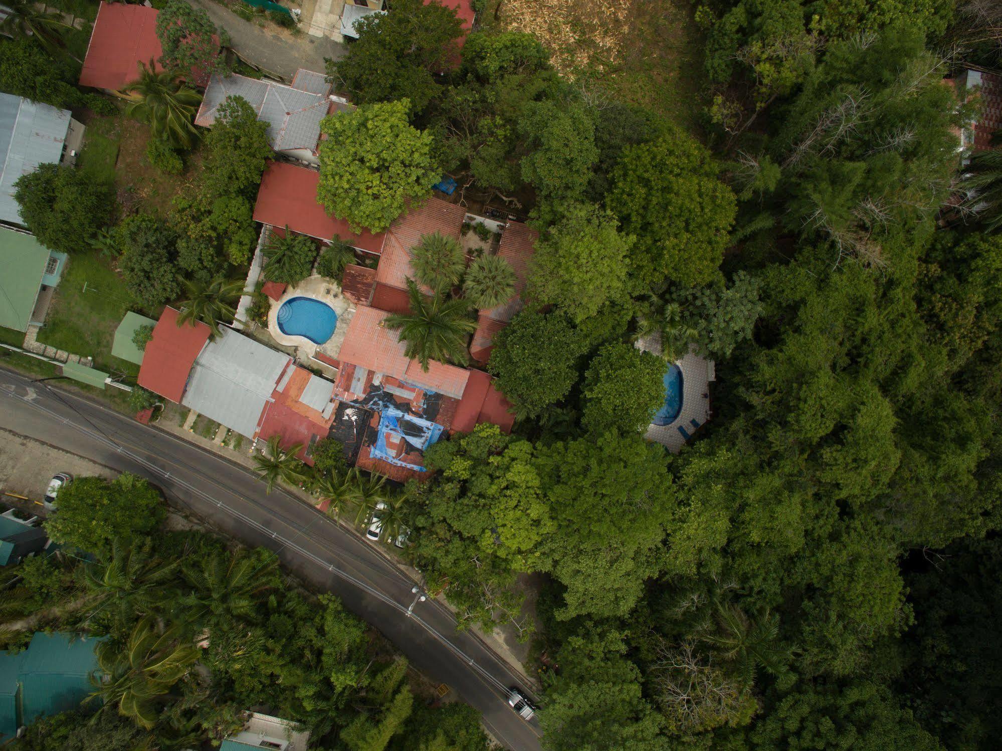 Hotel Mono Azul Quepos Exterior foto